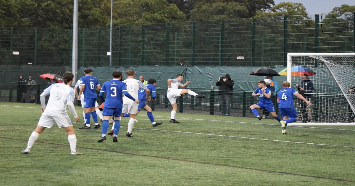 Daisy Hill go 2 for 2 at top of fledgling table